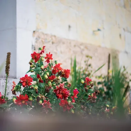 Welcome To * Cogners