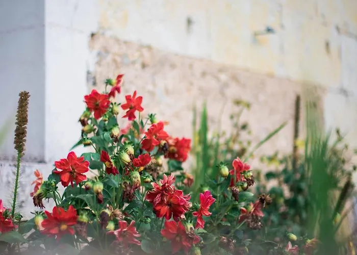 Welcome To * Cogners